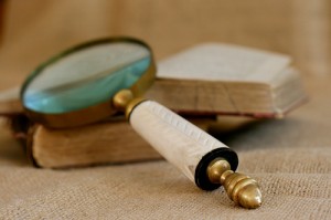medium_4106216129